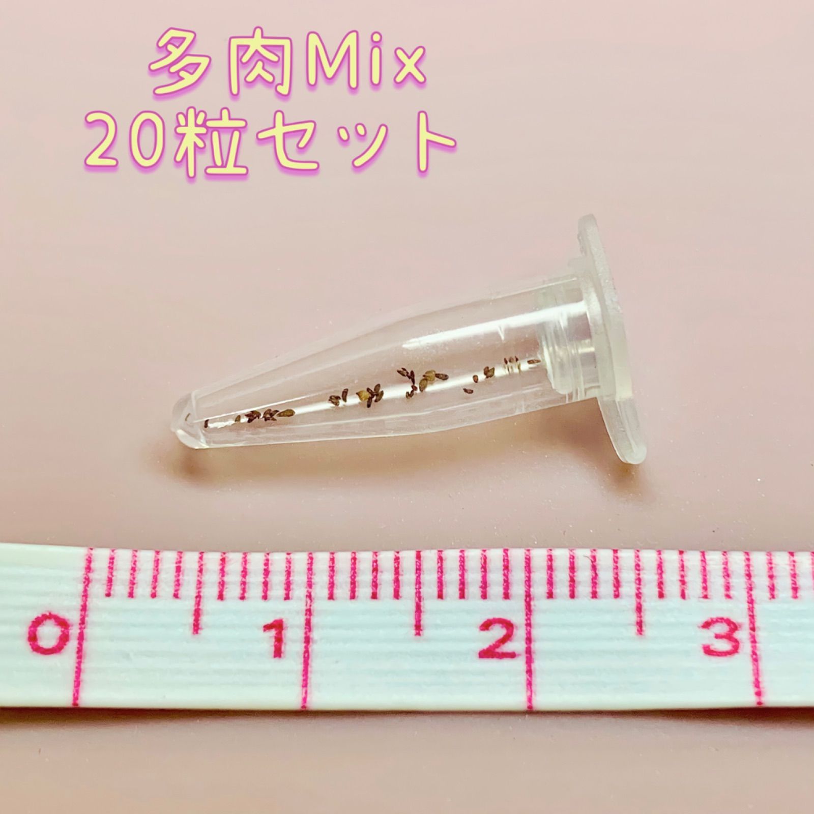 ☆多肉植物の種☆ Mix種子20粒330円 新品種・韓国苗・希少種・交配種