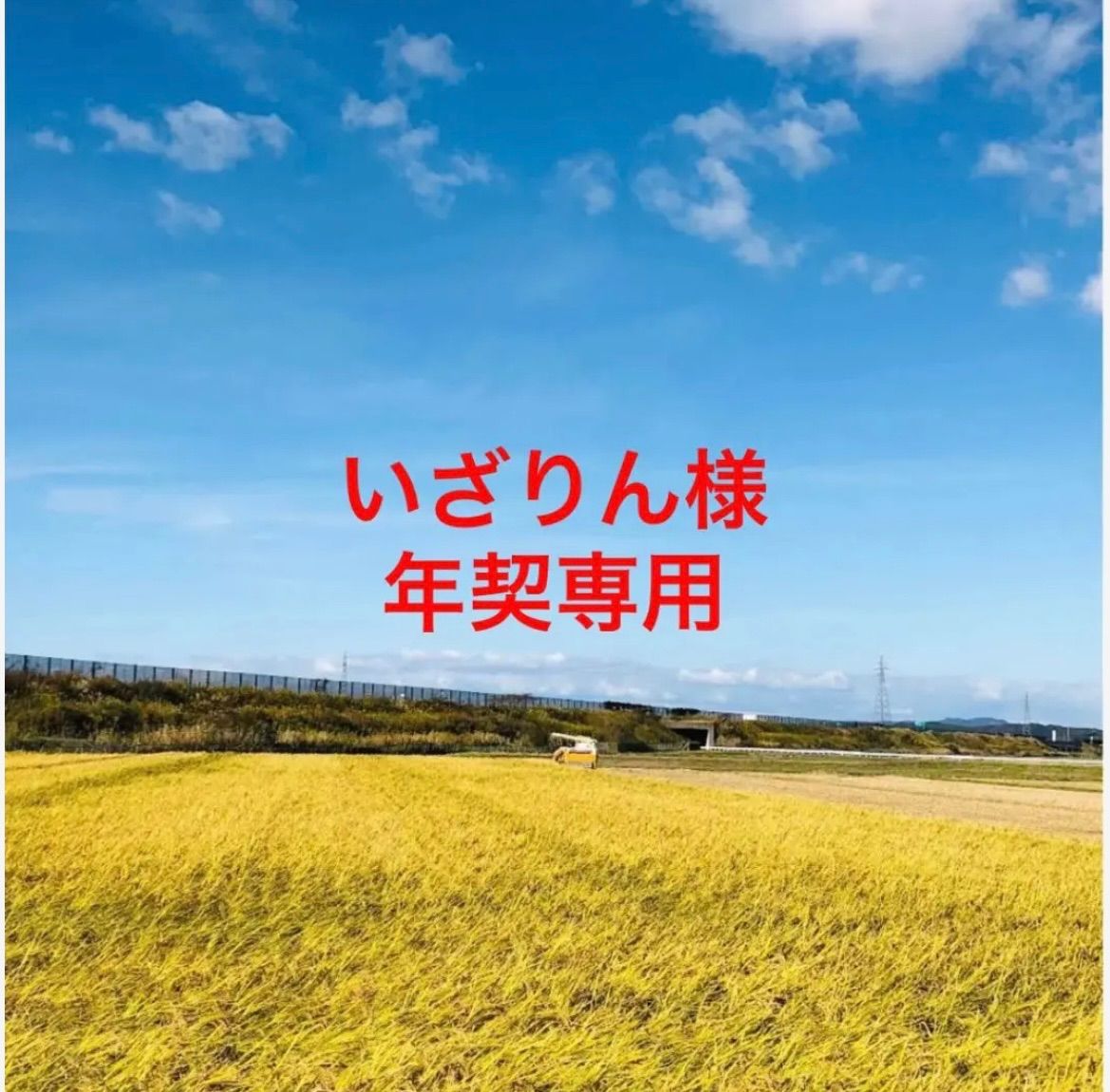 【いざりん様年契専用】令和５年度新米ひとめぼれ 精米24Kg