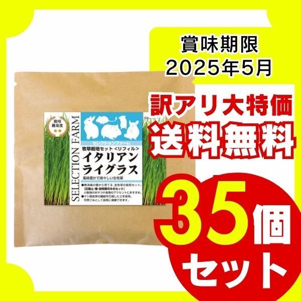 訳アリ イースター セレクションファーム 牧草栽培セット リフィル イタリアンライグラス 45g×35袋セット 賞味期限 5月 大容量 お徳用 多頭飼い 牧草 チモシー 小動物 草食動物 ハムスター うさぎ デグー チンチラ