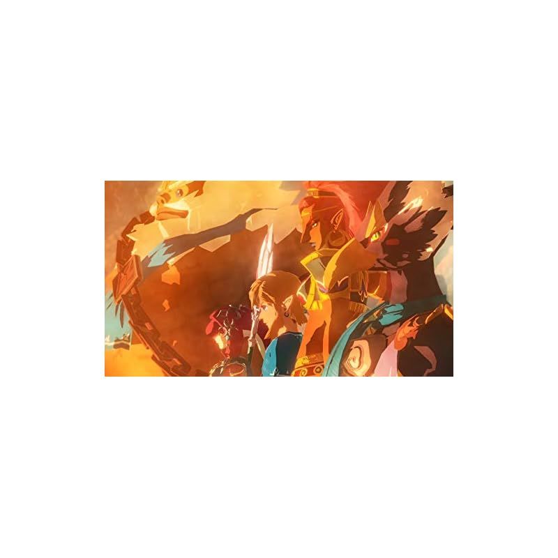 ゼルダ無双 厄災の黙示録 -Switch - メルカリ