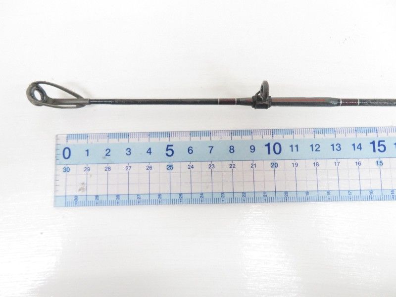 トーナメント シーライン