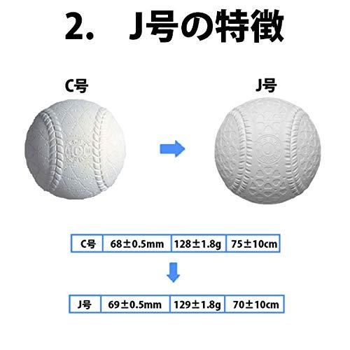 24個入
