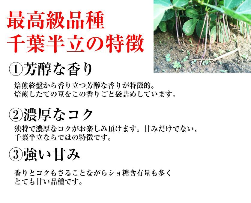 新豆　【大特価】お試し 千葉県産千葉半立 さや煎り落花生200g(100g×2袋)　国産 おつまみ グルメ　おやつ　無添加