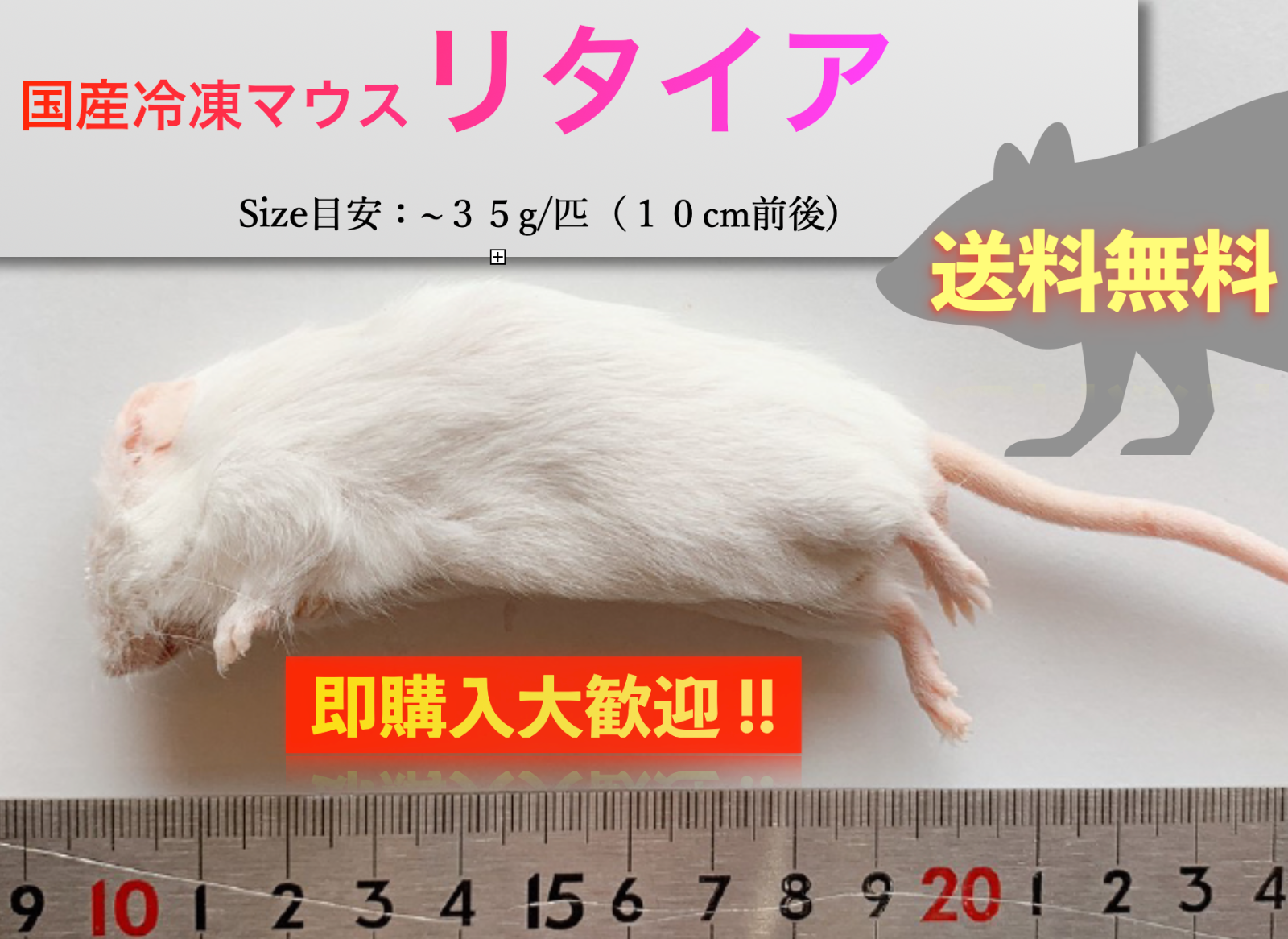 国産冷凍マウス アダルトM 15匹 - ペットフード