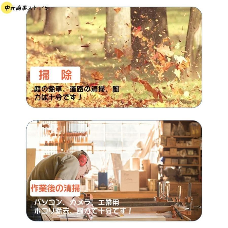 庭掃除