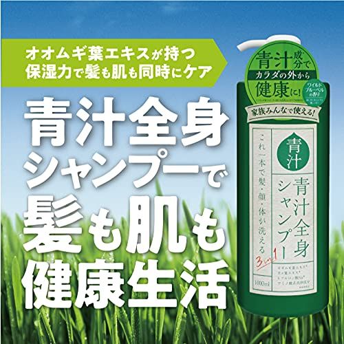 ケース販売】HIRO ヒロ 3in1 青汁全身シャンプーI 1L IT-2108-01