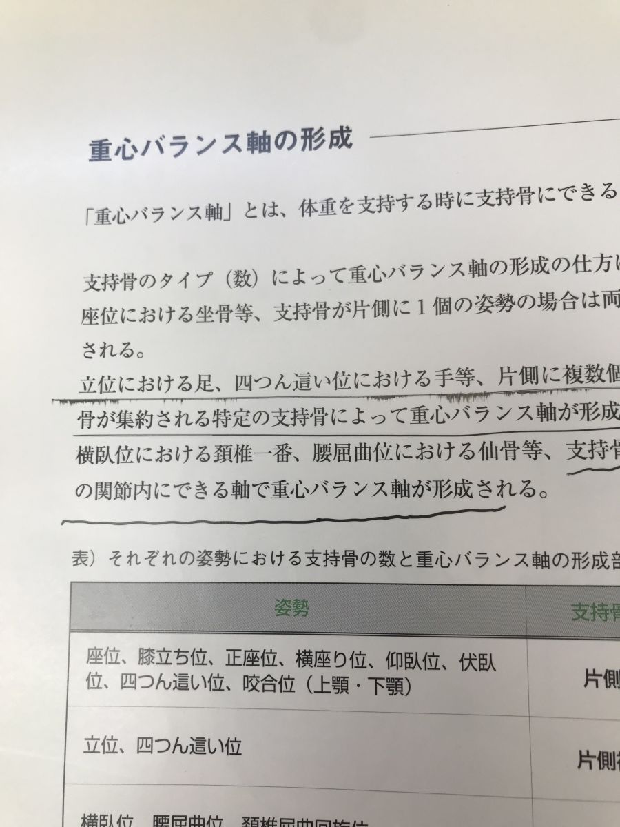 重心バランスシステムシリーズ 重心バランス軸調整療法 I.姿勢と重心