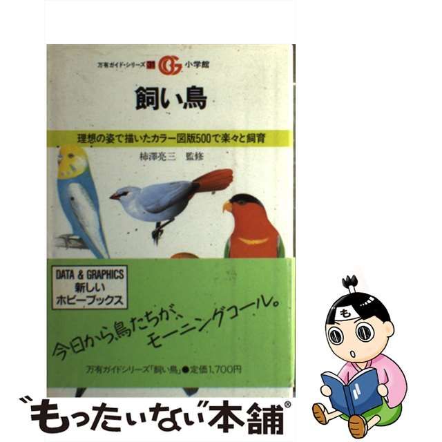 飼い鳥 理想の姿で描いたカラー図版５００で楽々と飼育/小学館