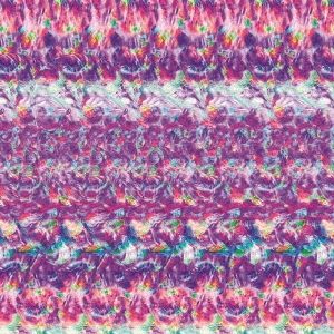 LP Tempalay ゴーストアルバム WPJL10138 Warner Music Japan &frasl;00260
