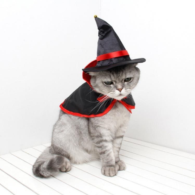 ハロウィン コスプレ 犬 猫 ペット服 コスチューム 衣装 魔法使い 魔女 犬用 猫用 かぼちゃ マント 帽子 犬服 ドッグウェア キャットウェア 犬用品  仮装 変装 変身 おもしろ かわいい 可愛い#mjx3750 - メルカリ