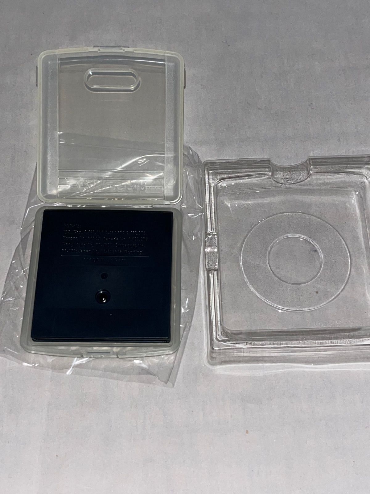 チラシ付 タマ＆フレンズ