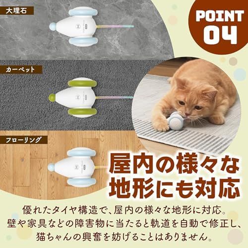猫楽堂