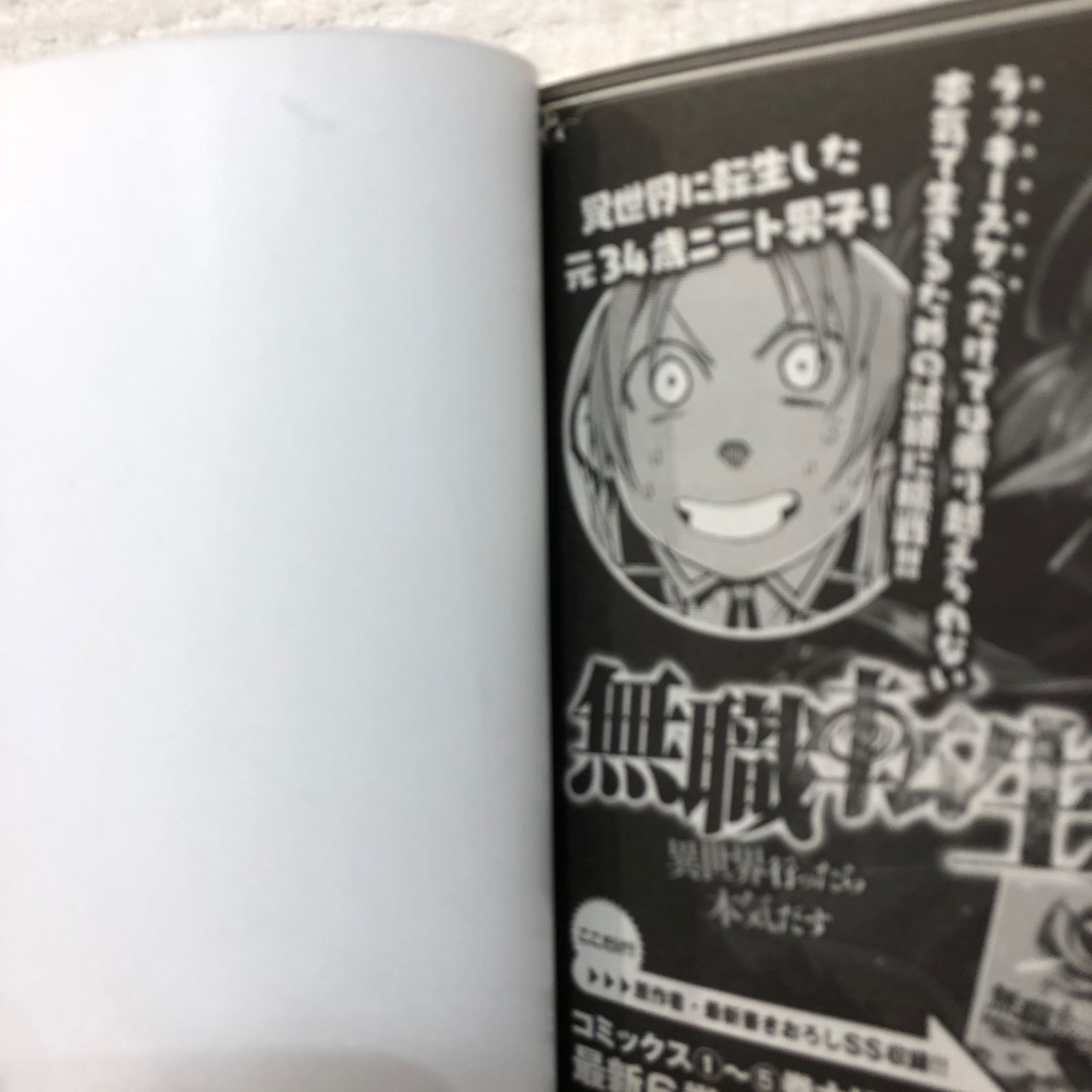 無職転生 異世界行ったら本気だす フジカワユカ [1-15巻 セット/未完結] 無職転生 〜異世界行ったら本気だす〜 全巻セット（1-23巻 最