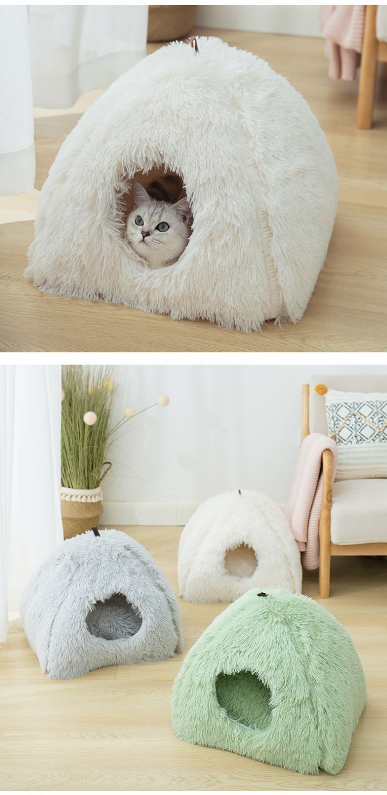 猫 犬