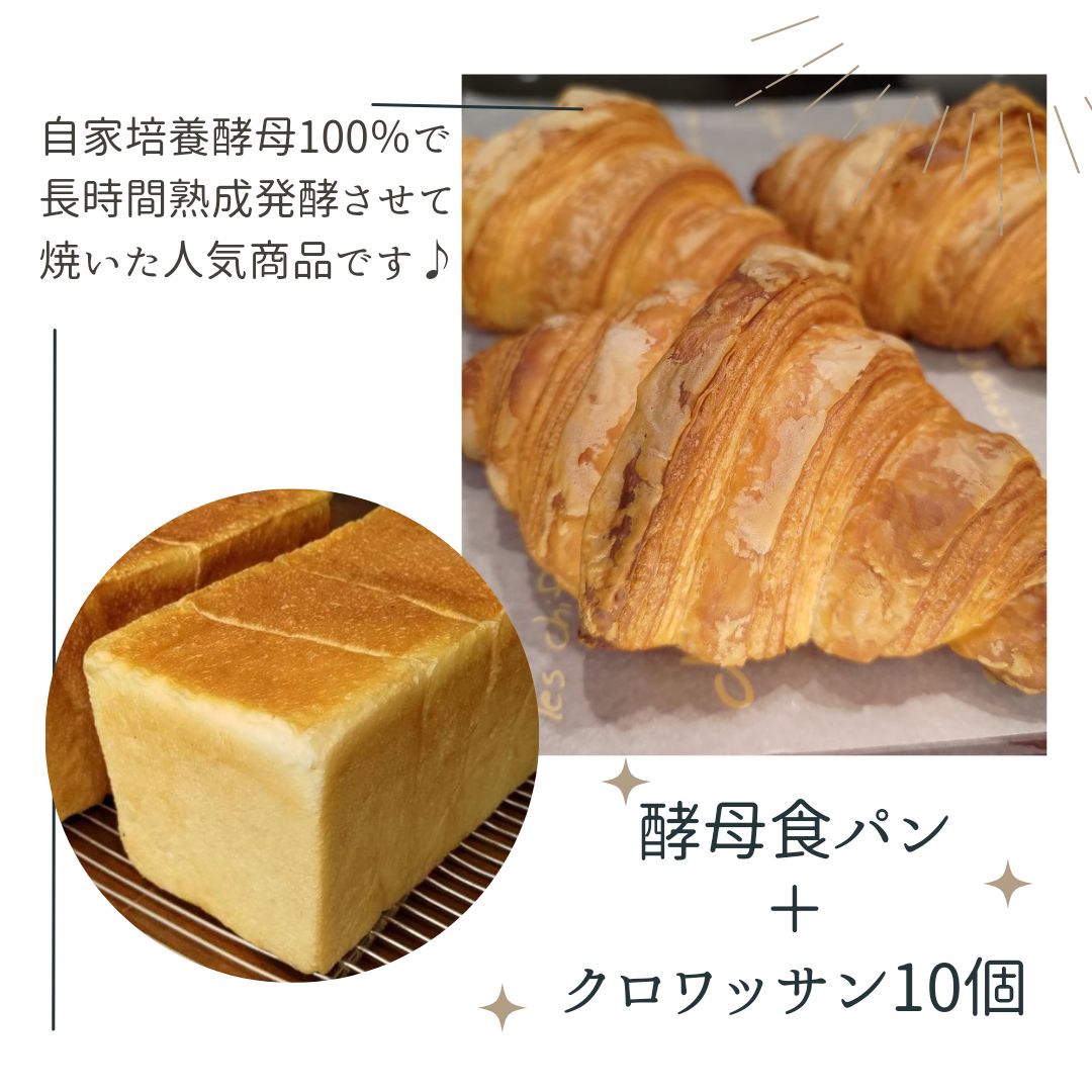 国産小麦&自家培養酵母100％】酵母クロワッサン10個セット+酵母食パン1