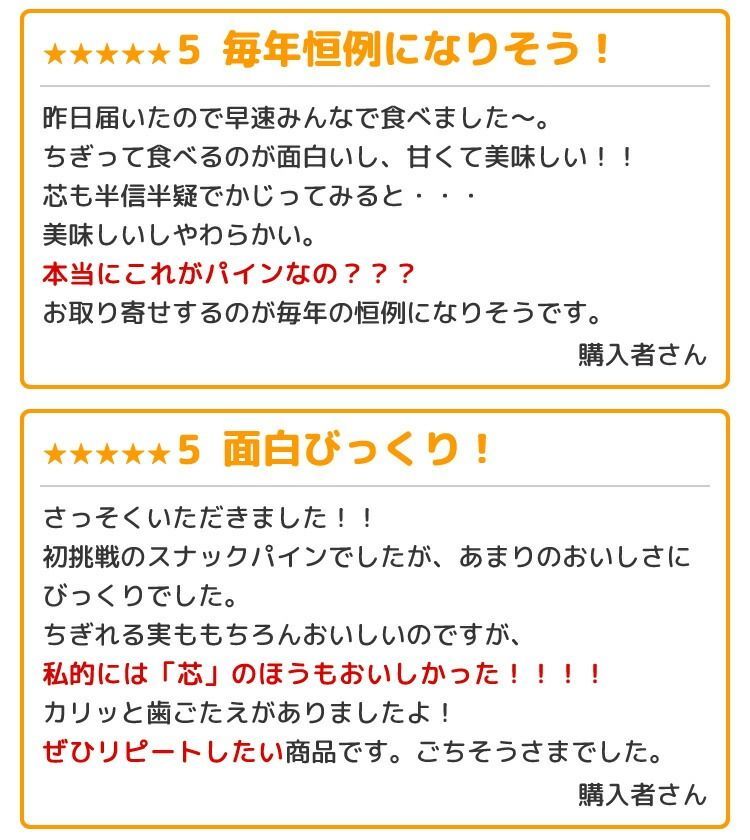 スナックパイン 沖縄産パイナップル