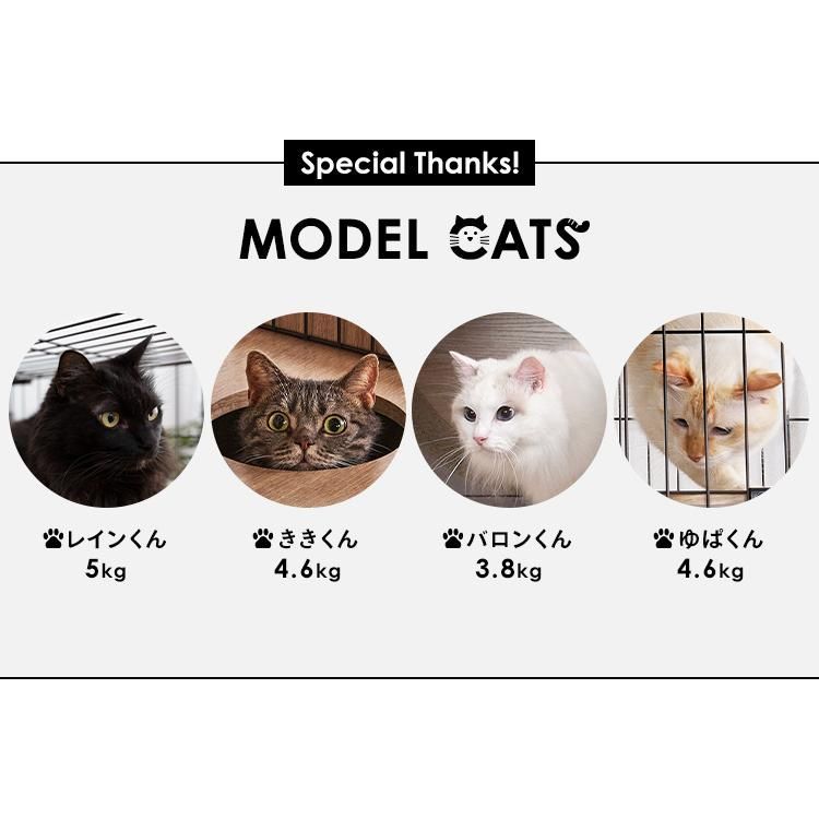 ケージ キャットケージ