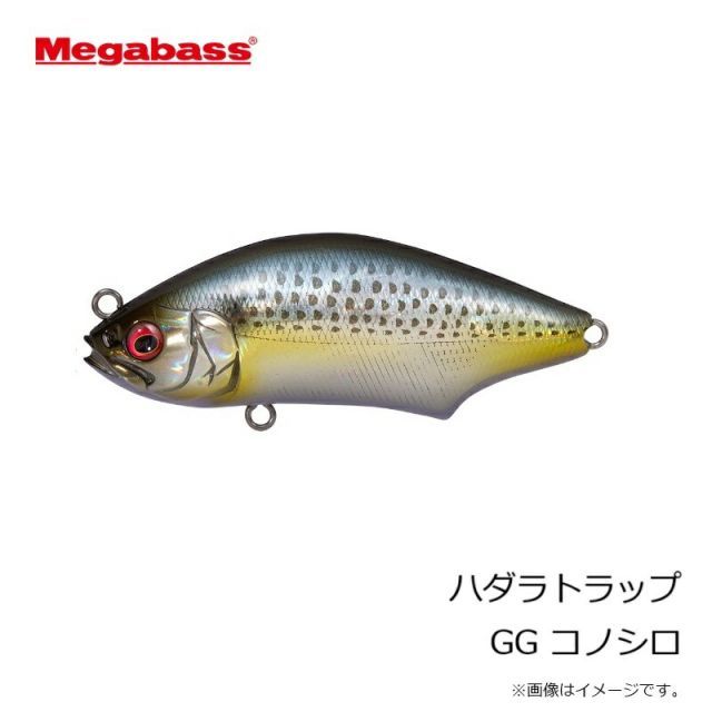 HADARA TRAP | Megabass-メガバス
