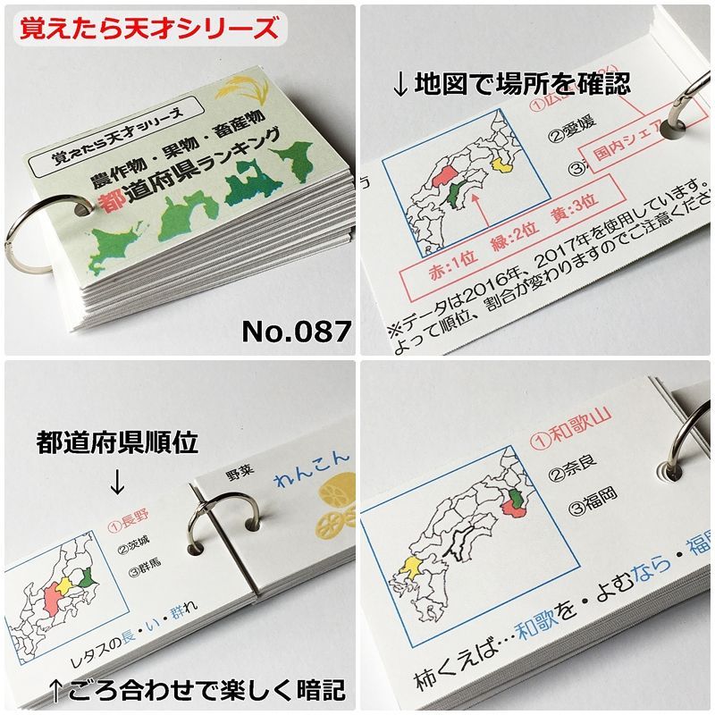 ぱぱプリ【084】中学受験対策 社会の地理、歴史、公民 暗記カード 