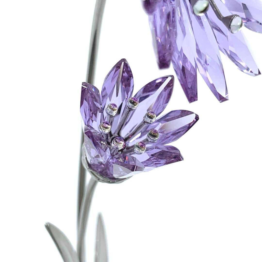 スワロフスキー Drina Violet ドリナ バイオレット 置物 TALLINNNEXPO_COM