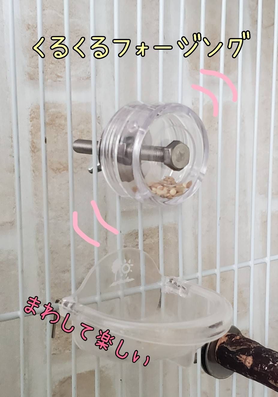 バードトイ くるくる♡フォージング インコ おもちゃ - メルカリ