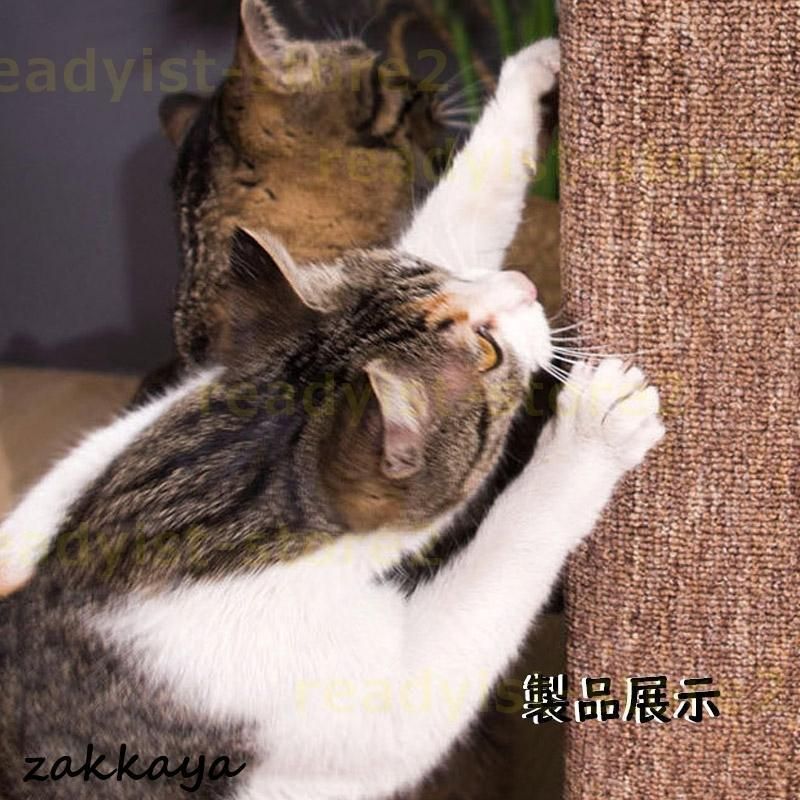 爪研ぎ