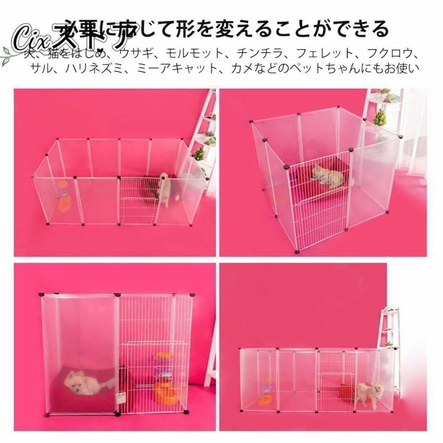 猫 うさぎ