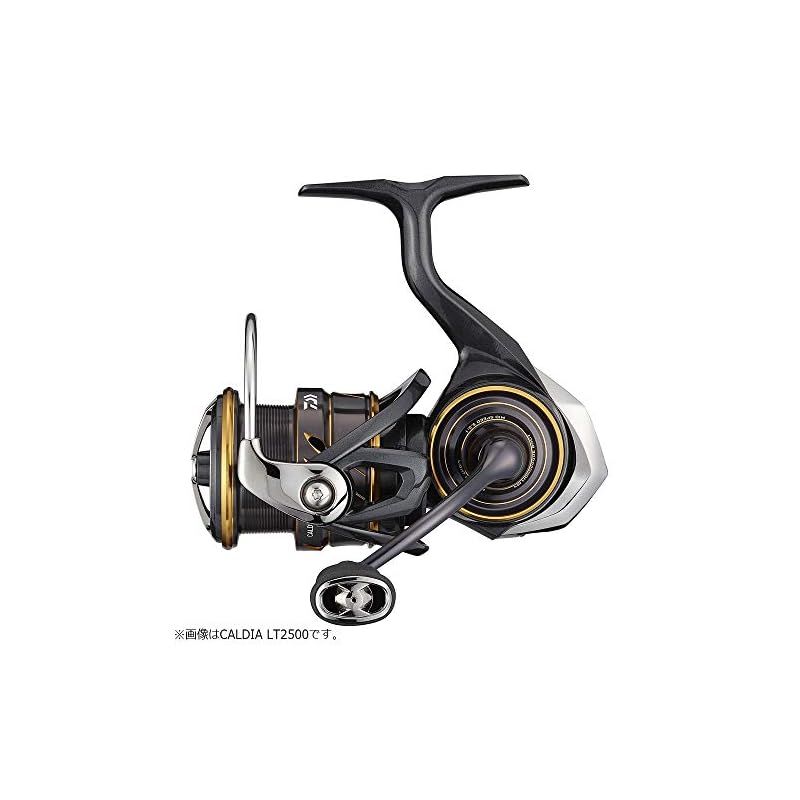 ダイワ(DAIWA) 21 カルディア LT3000 人気 商品 通販