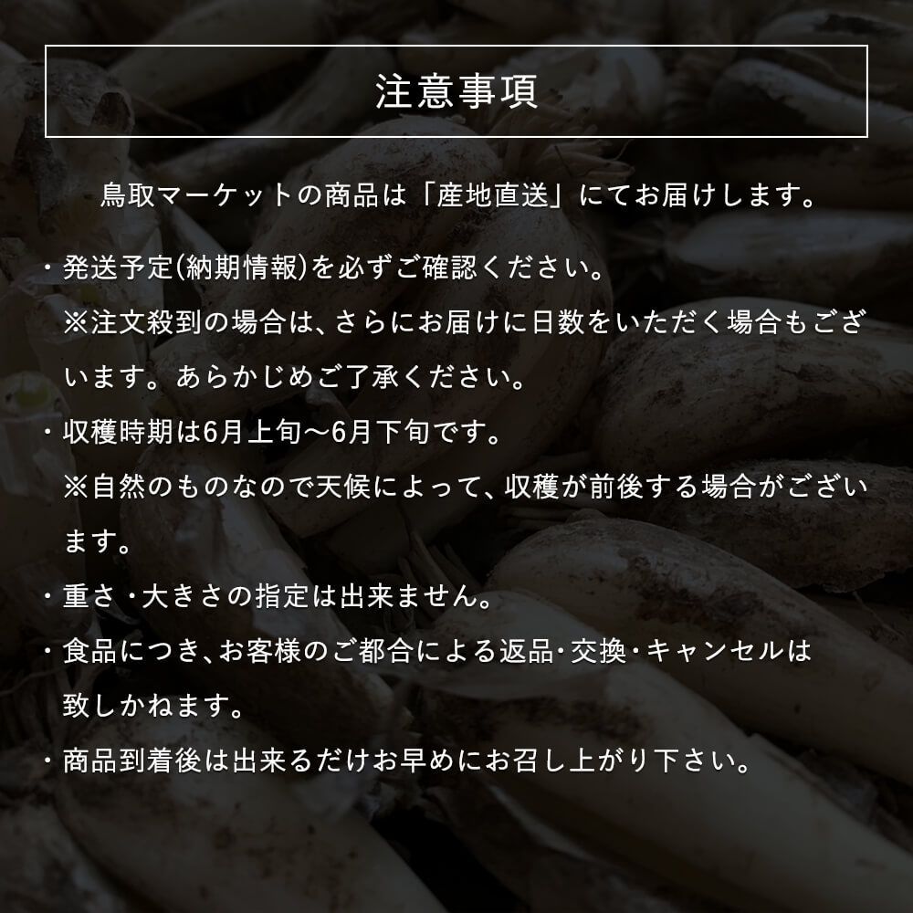 根付きらっきょう 9kg