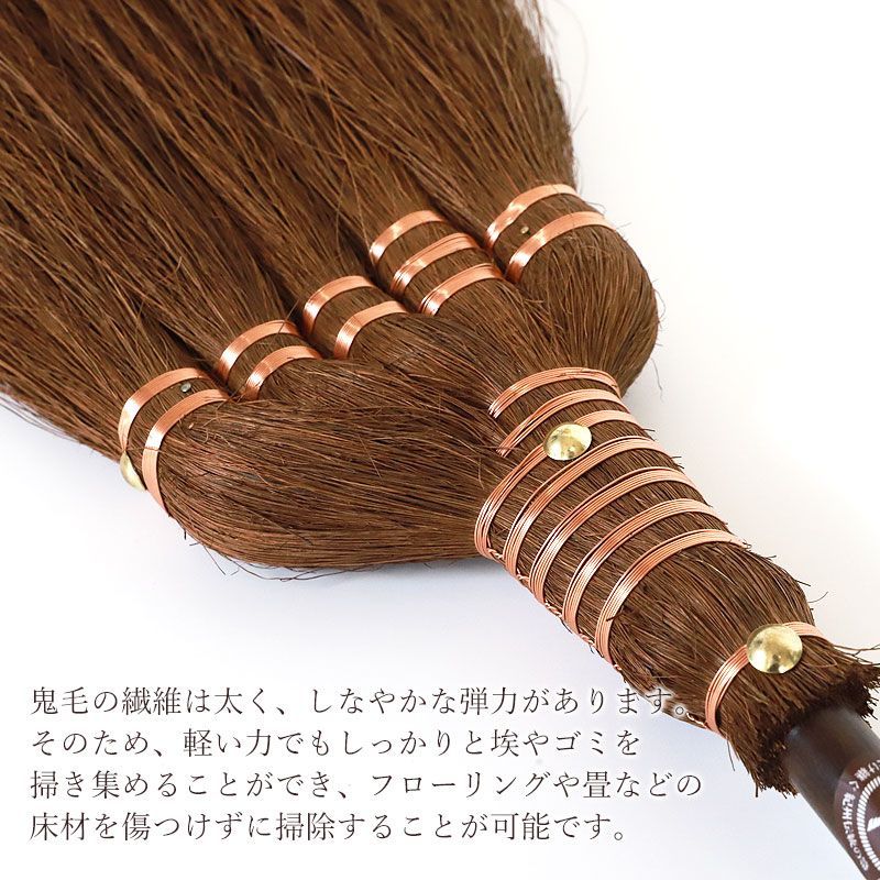室内 シュロ