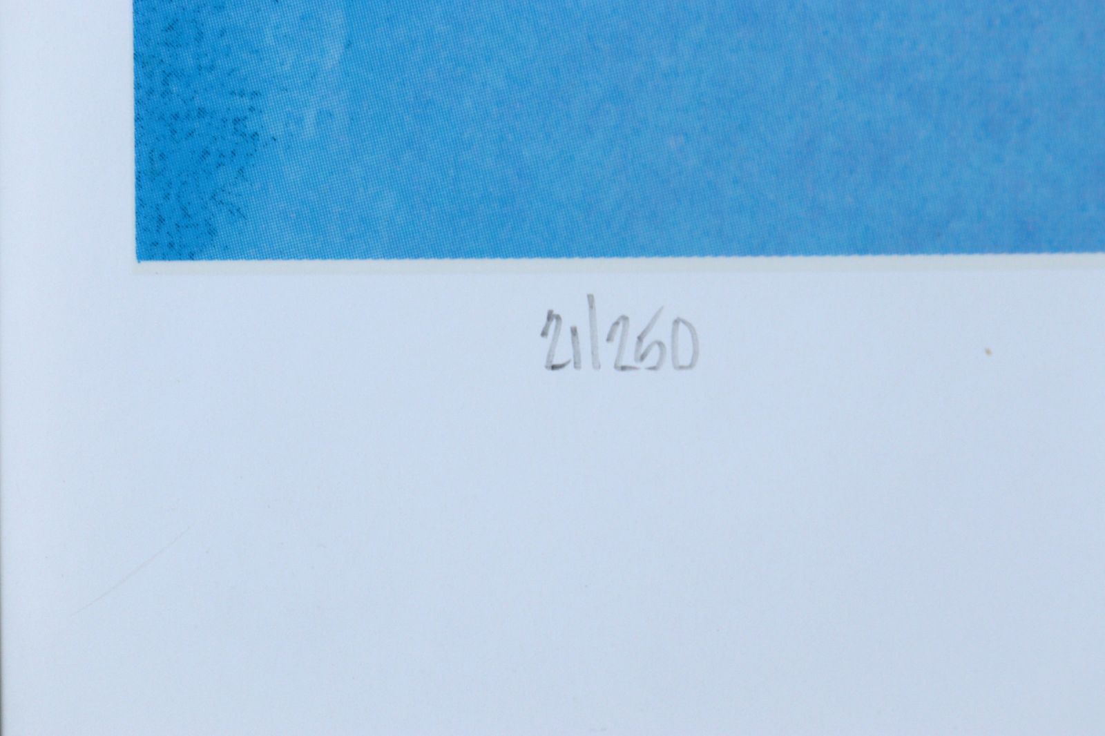 ▽ クリスチャン・ラッセン 「DOLPHIN] シルクスクリーン 21/250 直筆