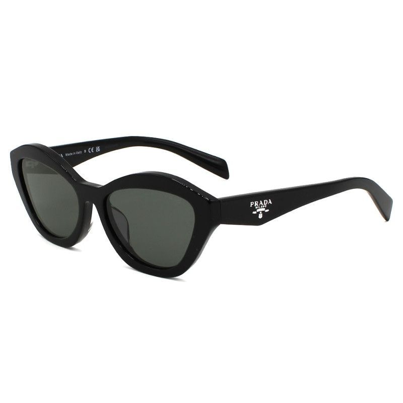 新品未使用】PRADA プラダ 0PRA02SF 16K08Z 55 サングラス メンズ 