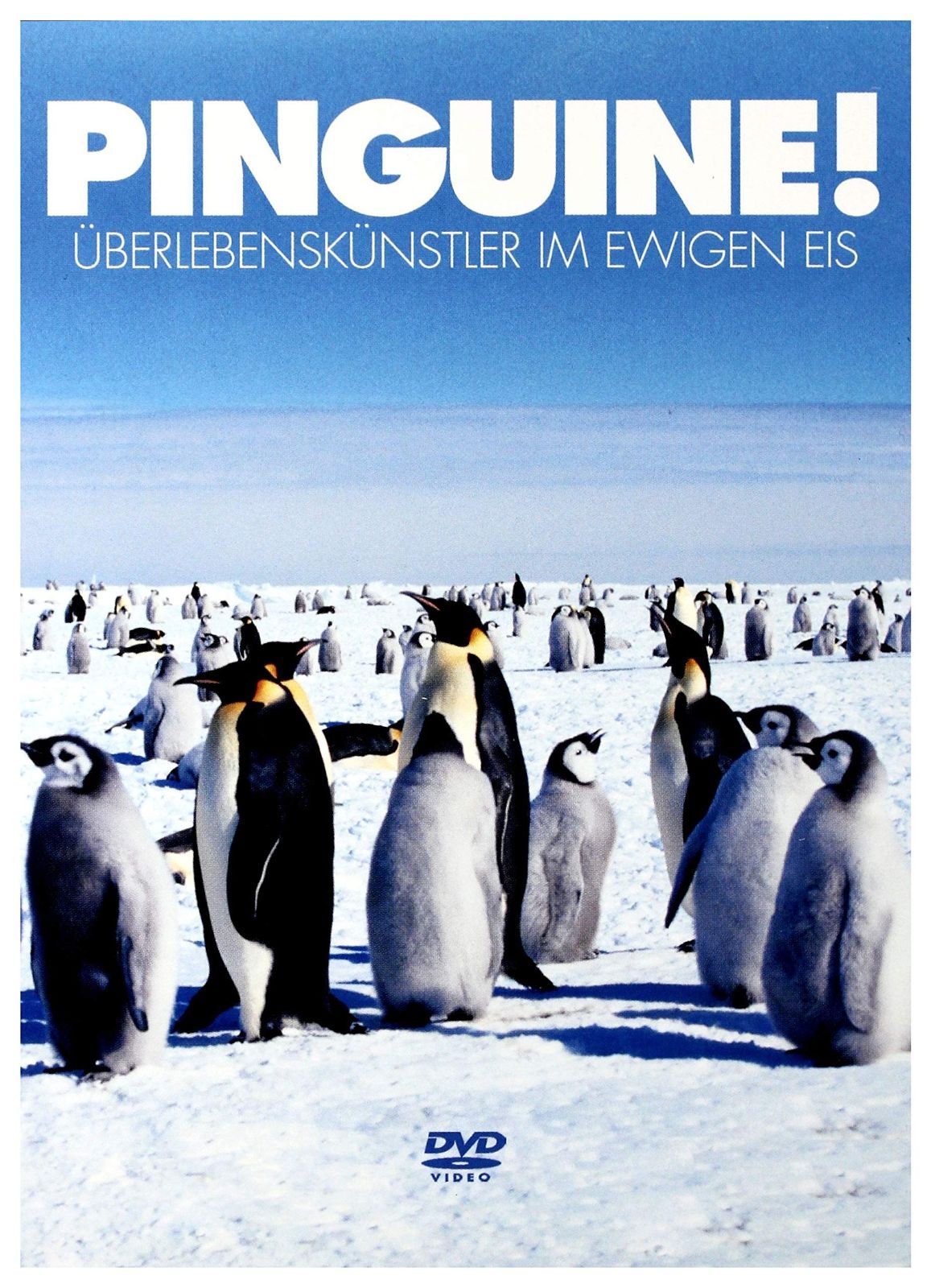Pinguine!