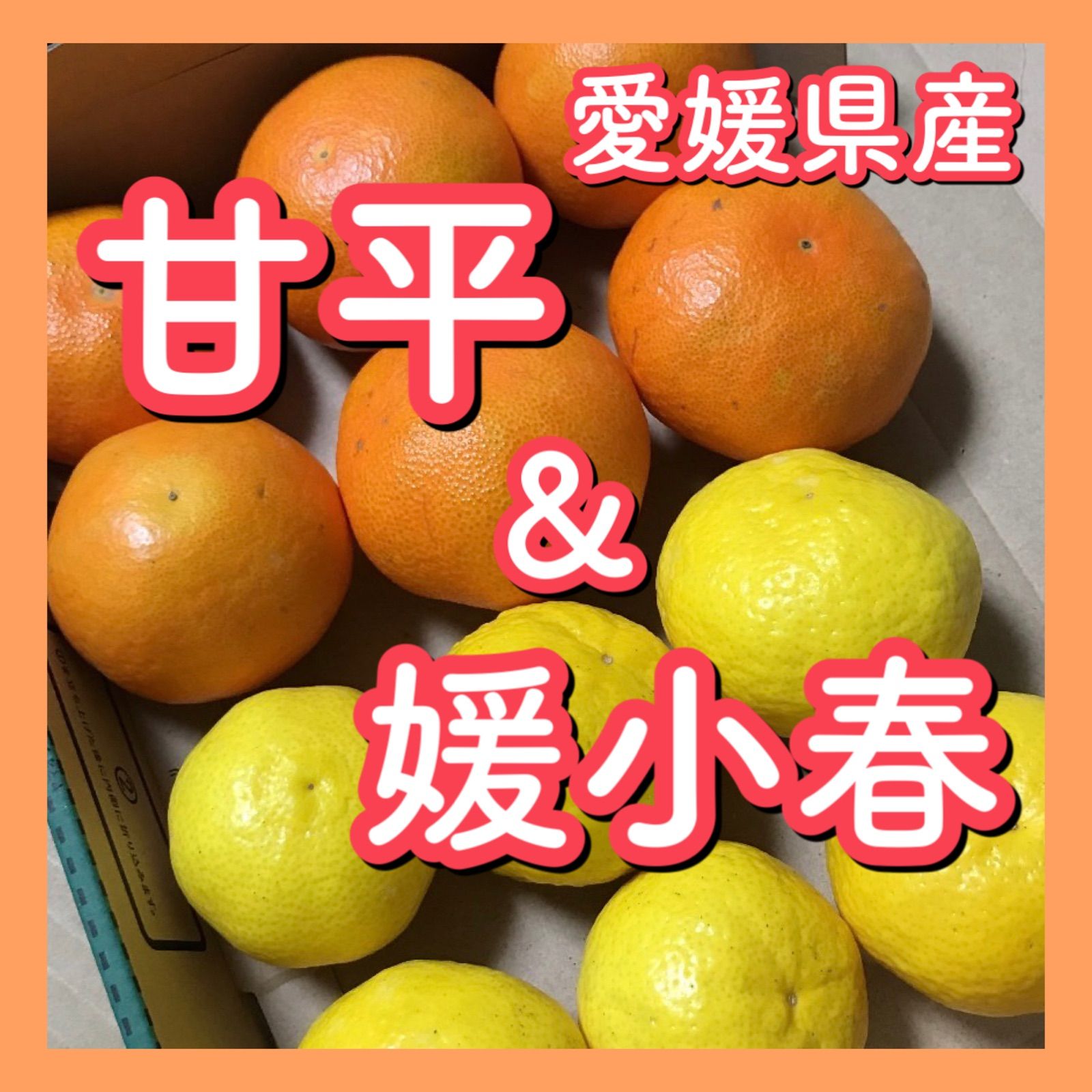 愛媛県産甘平6個&媛小春6個セット 柑橘 みかん 果物 フルーツ