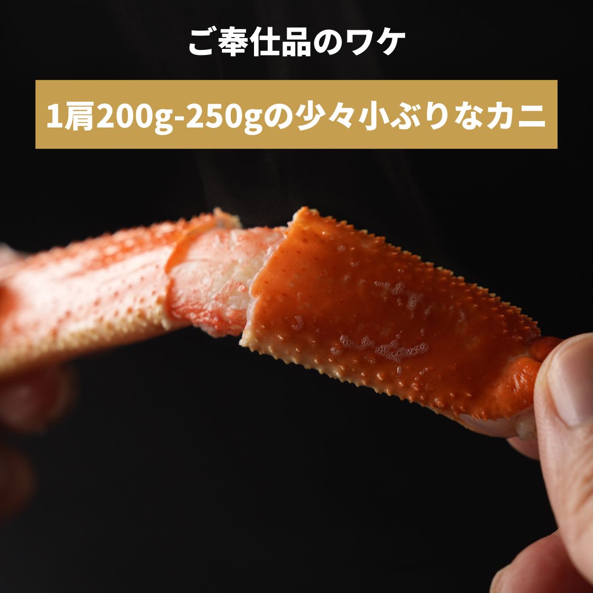 ズワイガニ かに