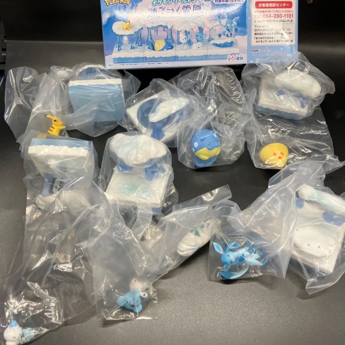 リーメント ポケモン あつめてひろがる！ ポケモンワールド3 凍てつく 