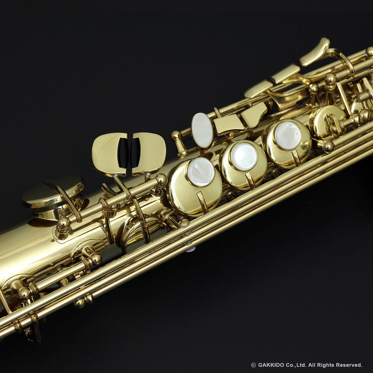 H.Selmer SUPER SESSION F ソプラノ サックス セルマー セルマー ソプラノサックス Super Session | 【クロサワ楽器店