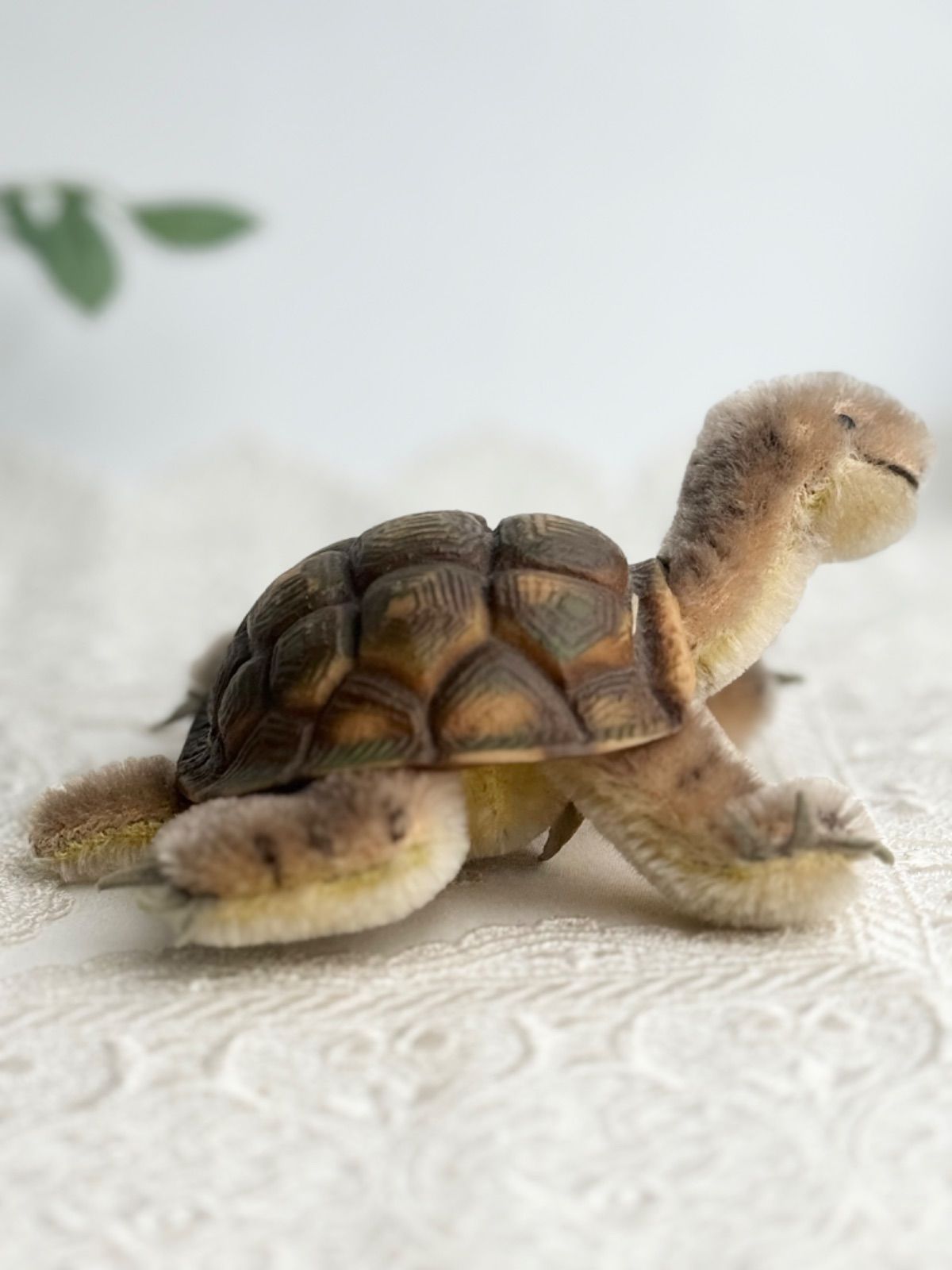 Steiff - シュタイフ★Slo Turtle★カメのソロ/タートル/亀★Steiff 送料無料☆シュタイフ☆Slo Turtle 10cm オールID's完品☆カメの