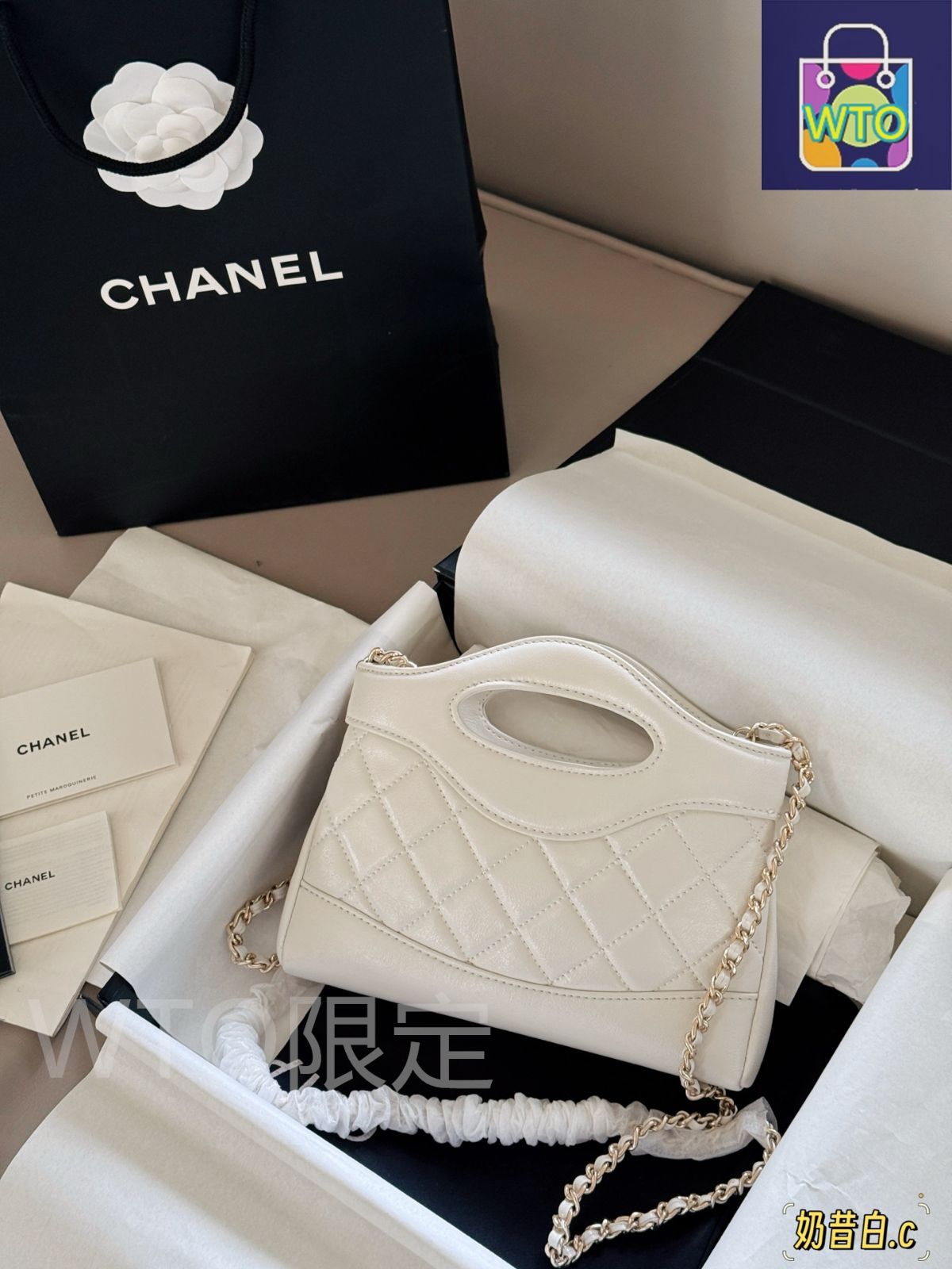 今日特価】Chanel シャネル 31 ナノ バッグ 横型デザインの超