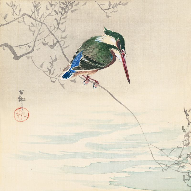 A4正方形 小原古邨 ポスター 川蝉/翡翠 カワセミ 浮世絵 日本画