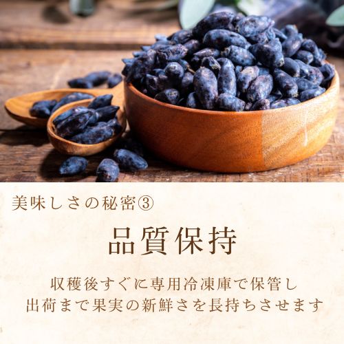 2025初物】北海道美唄産 冷凍ハスカップ 1kg - メルカリ