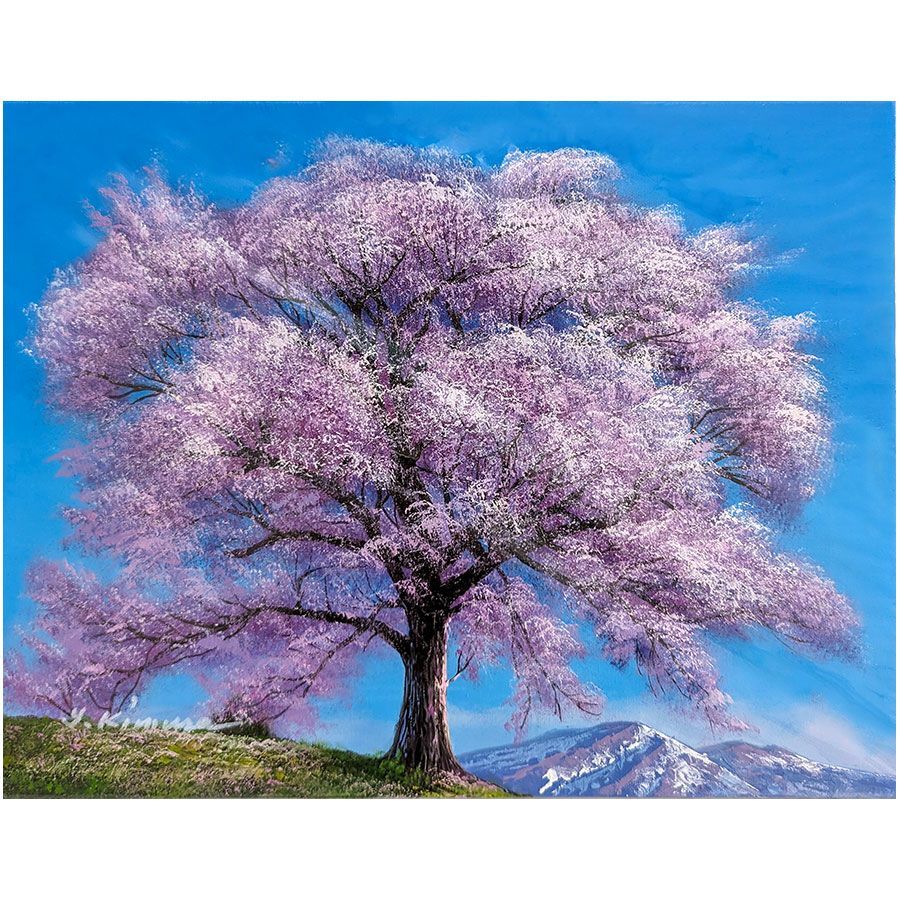 「早桜」 手描き 油絵 油彩画 風景画 原画 ☆ 油彩画 F6号 木村由記夫 「王仁塚の桜(わに塚のさくら