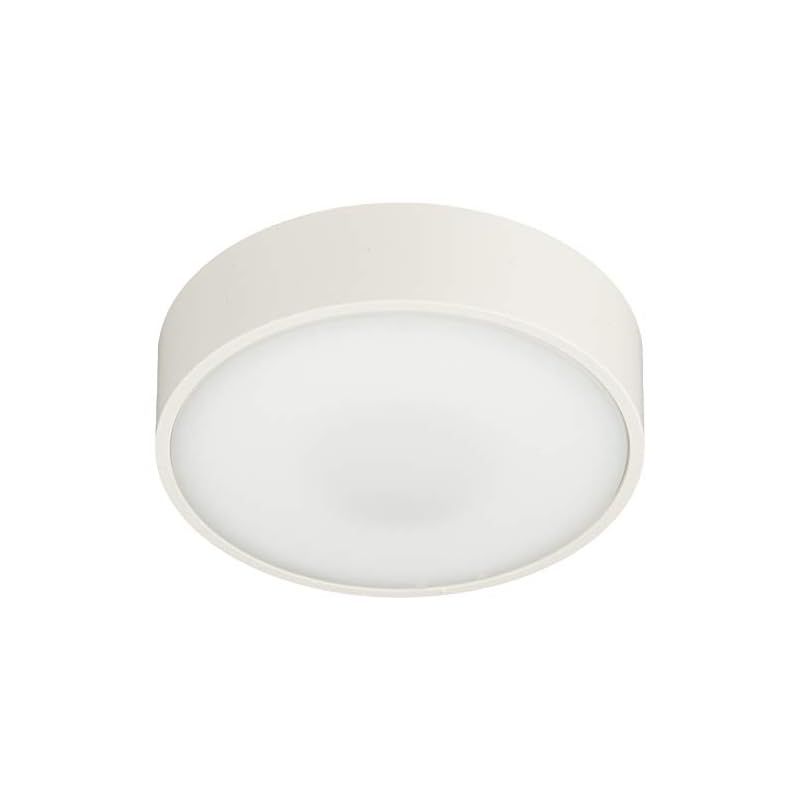 パナソニック(Panasonic) ダウンシーリングライト LGB51654LE1 直付 60形 ホワイト 0