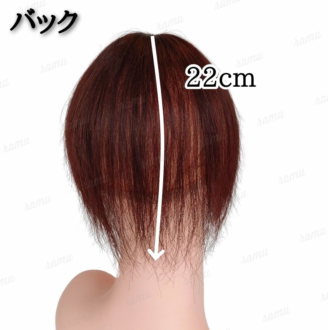 新品】人毛100％ 部分ウィッグ ヘアピース 白髪かくし ダークブラウン