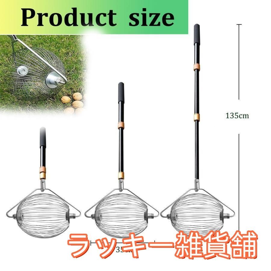 裏庭用クルミ