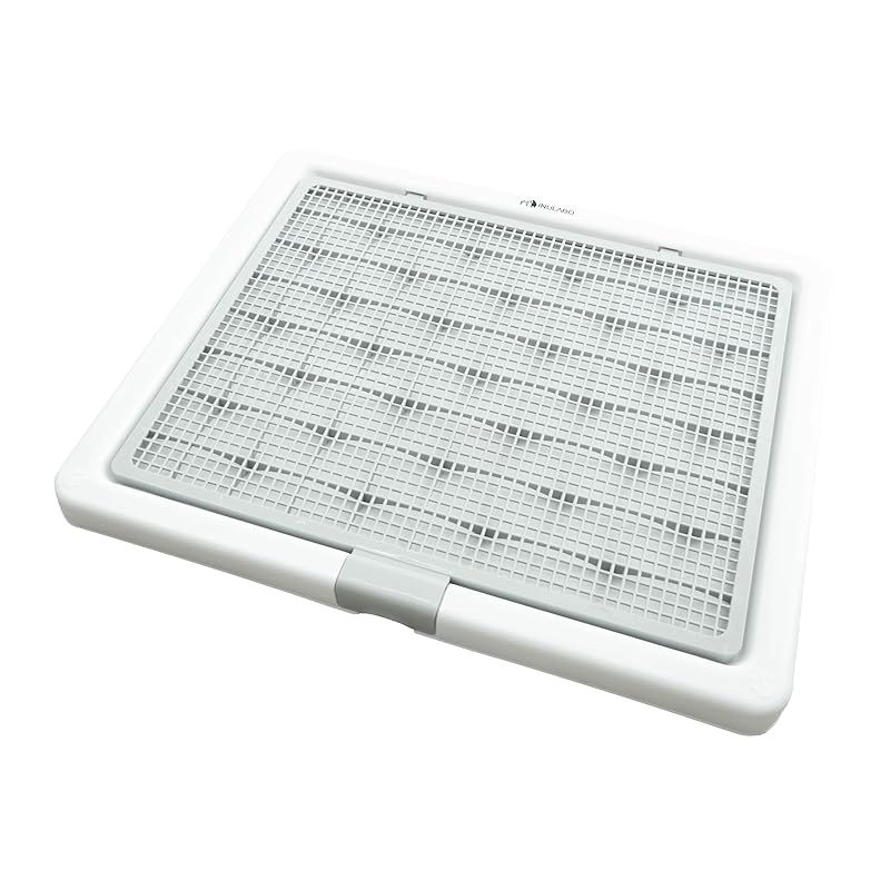 ウガンダ シリング 海洋生物 カラーコイン 2002年 全10種 コンプリート