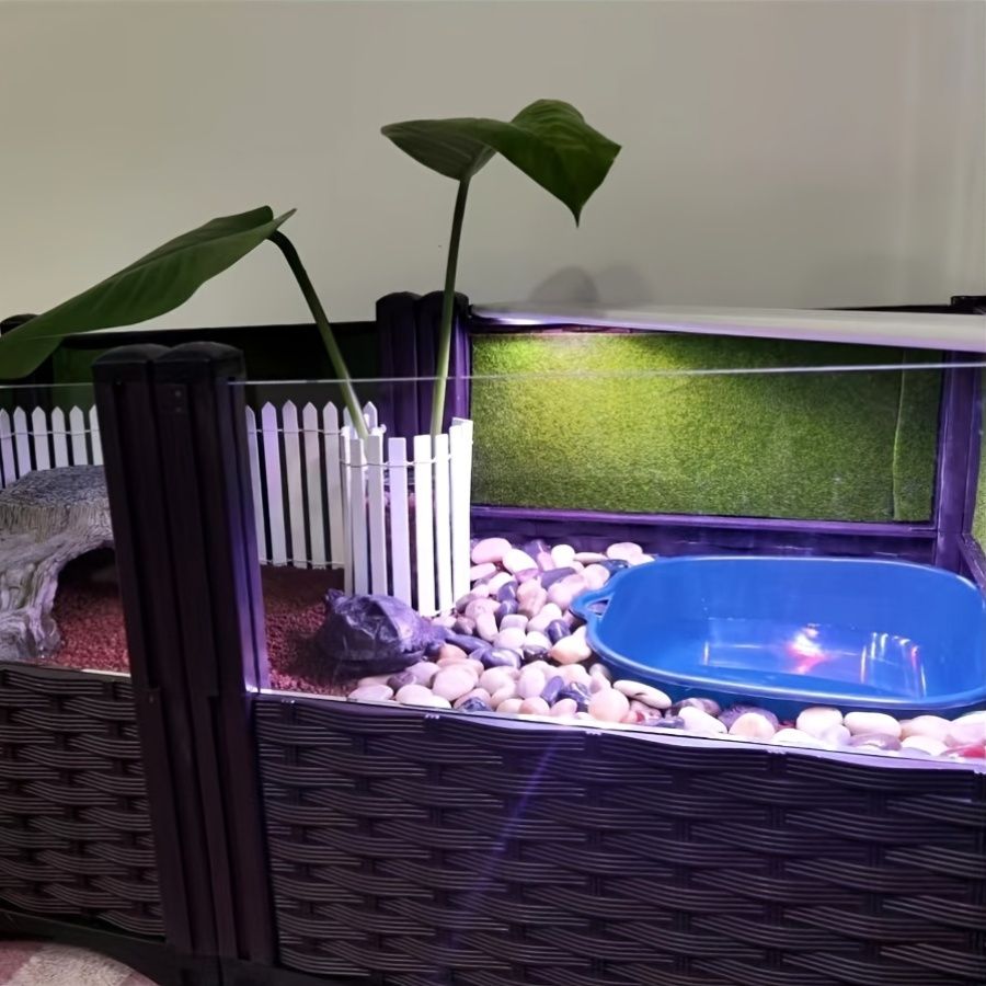 水陸両用爬虫類イエロータートルとトカゲ大型エコアクアリウムアクアスケープボックスセット