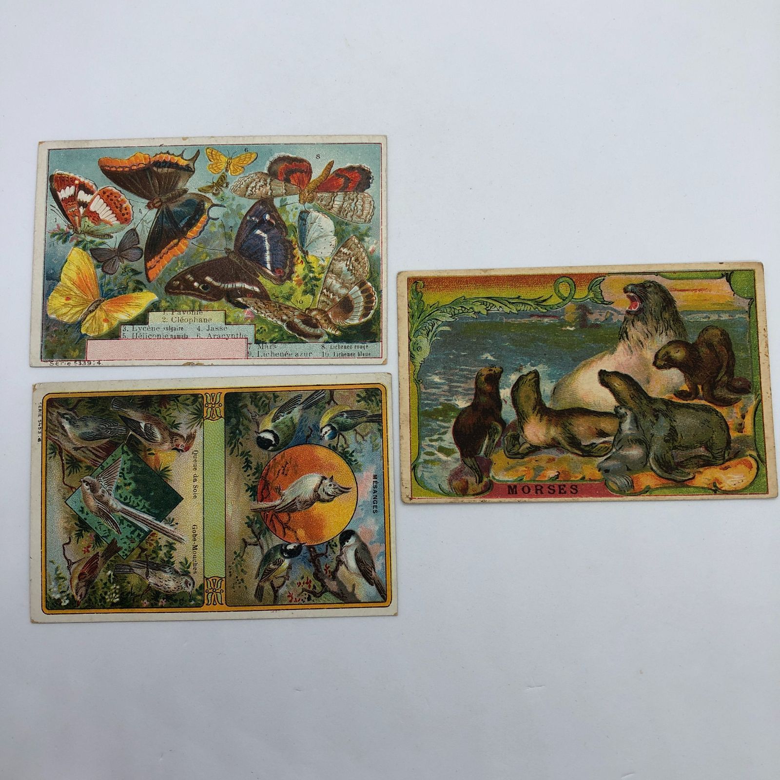 3枚セット! まとめ 】クロモカード フランス アンティーク ※シャンク