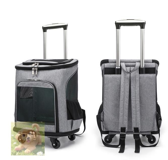 キャリーリュック リュックサックお色選択可