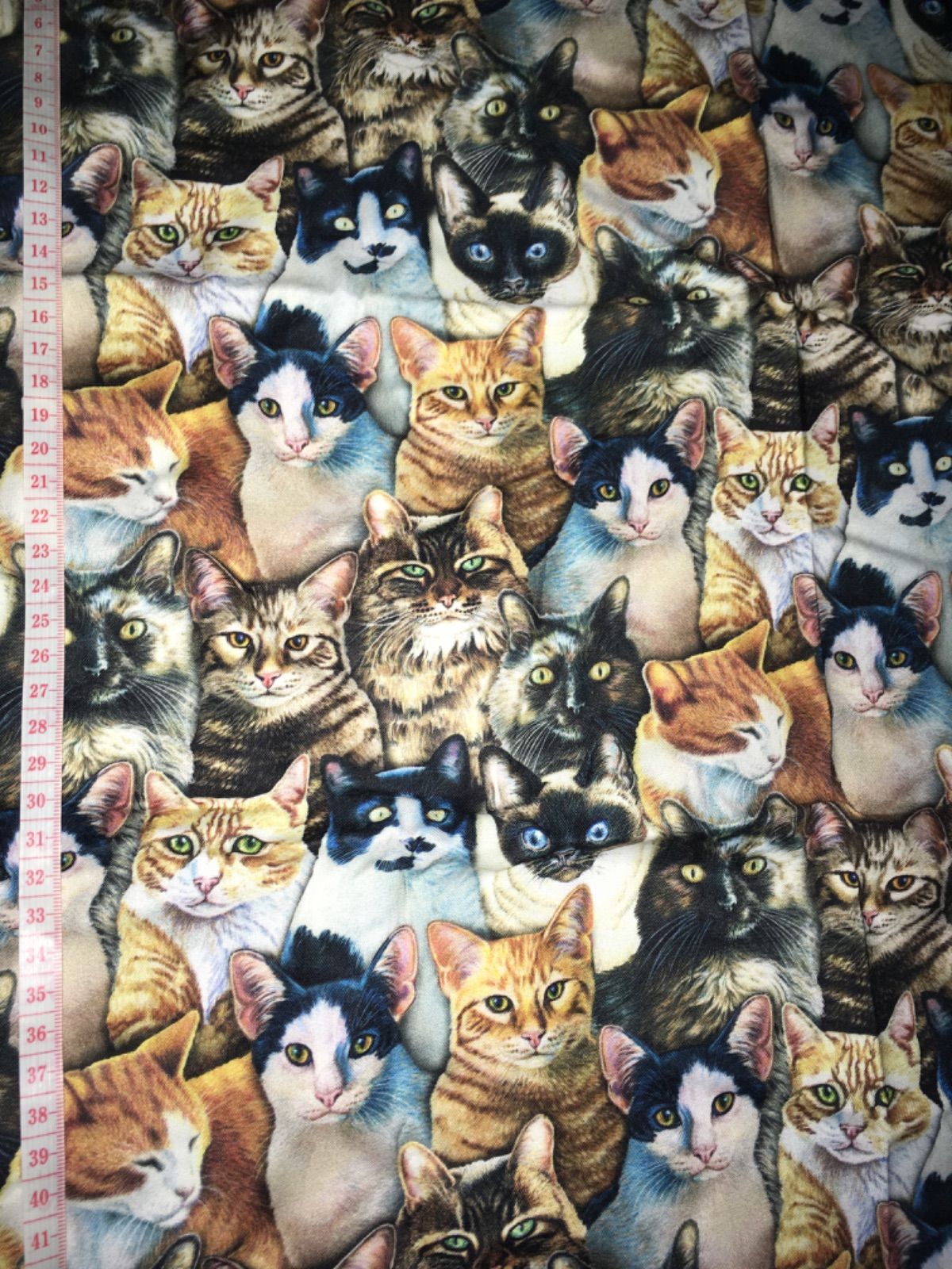 約45×106猫だらけ猫いっぱい リアルキャットリアル猫 猫柄 - メルカリ
